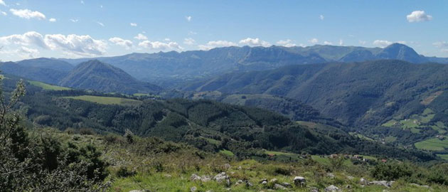 Aralar Larte gailurretik.