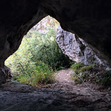 Axarixiloa kobazuloa.